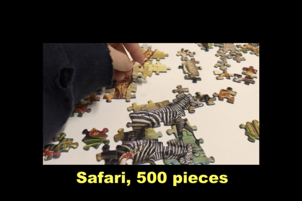 IYTF-stills_safari-puzzle_hires